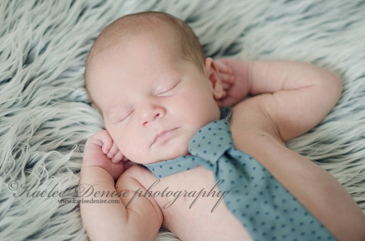 Asheville Newborn Portrait Photographer
