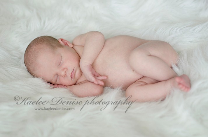 Asheville Newborn Portrait Photographery