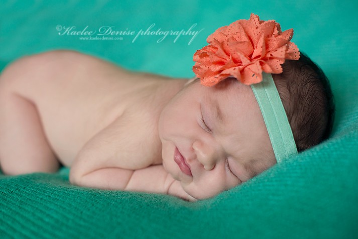 brevard newborn photographer