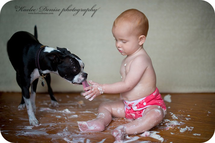 Brevard Child Portrait Photographer