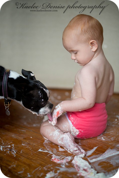 Brevard Child Portrait Photographer